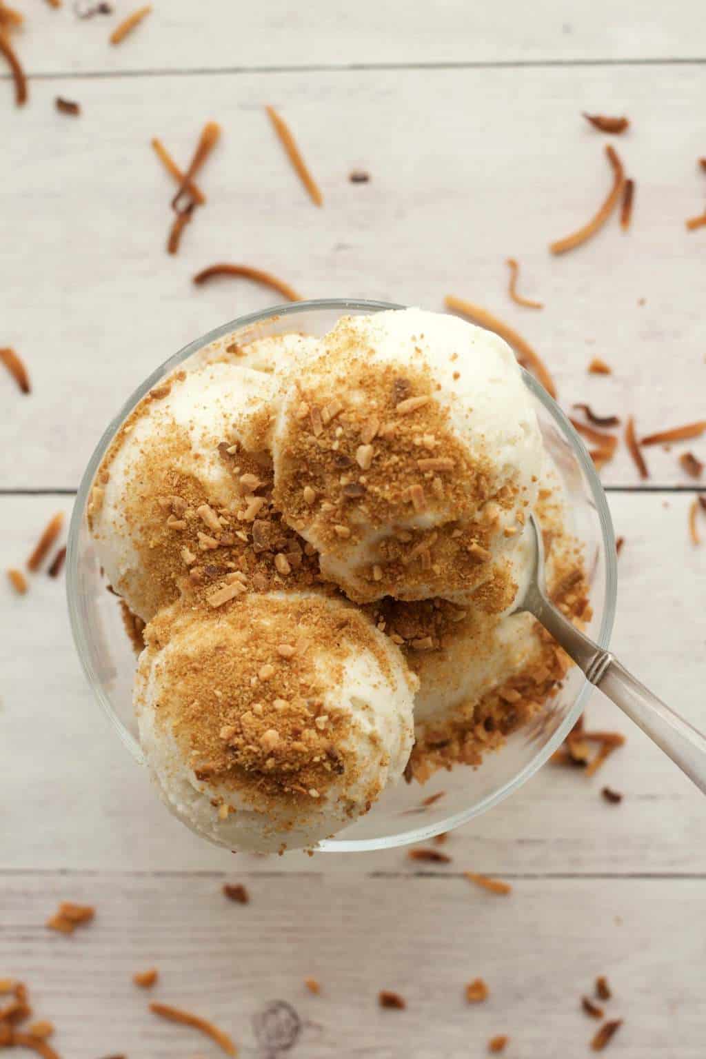 Vegan coconut ice cream sprinkled with toasted coconut in a glass bowl. 