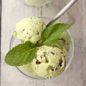 Vegan mint chocolate chip ice cream in a glass bowl.