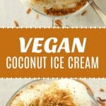 Vegan Coconut Ice Cream