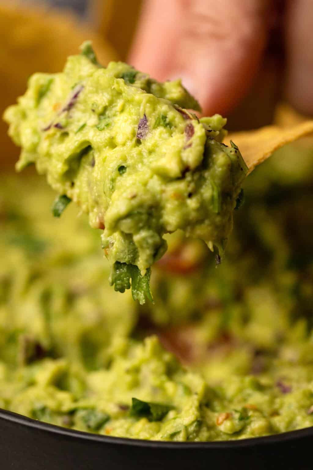 Vegan guacamole scooped up on a tortilla chip. 