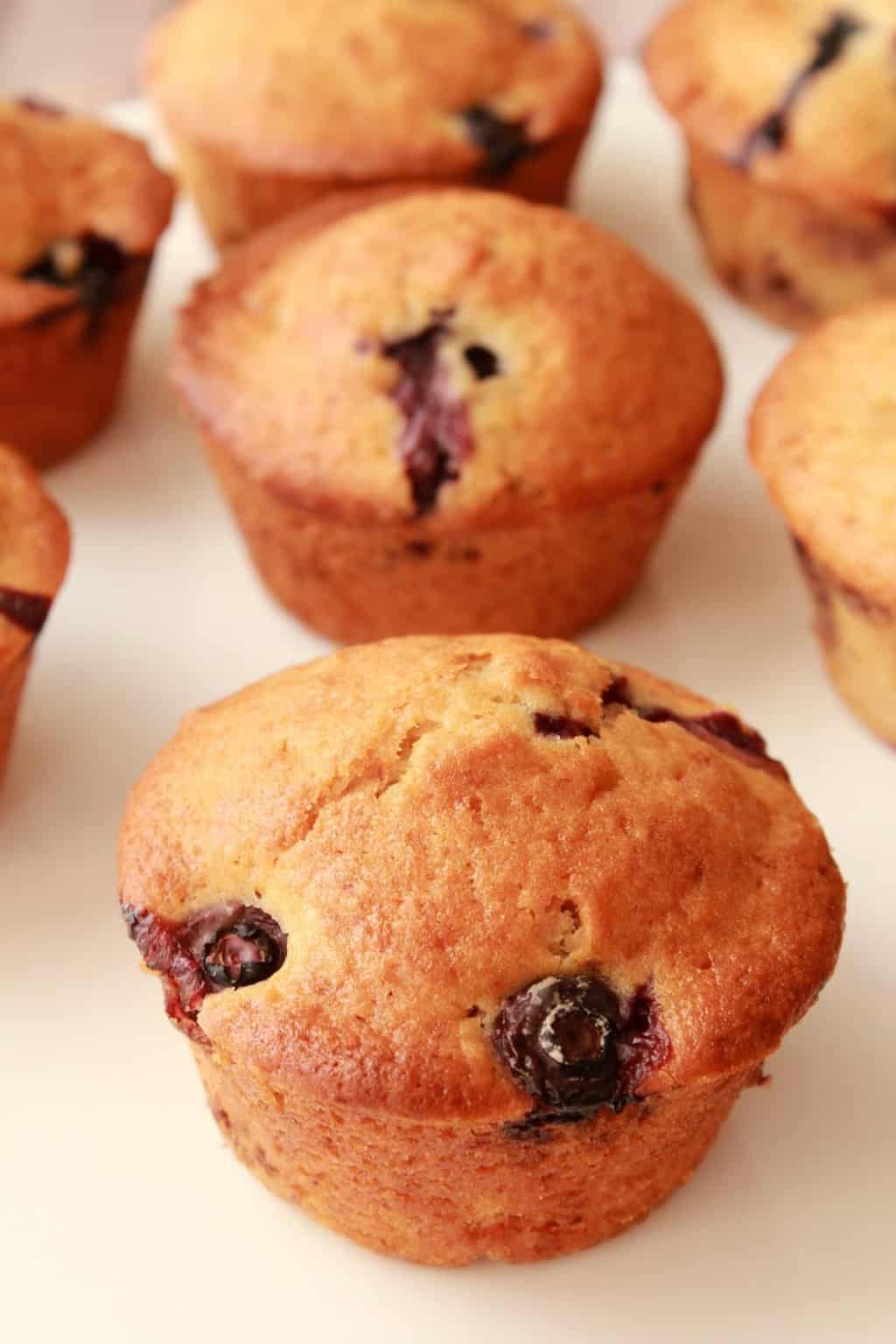 Vegan Blueberry Muffins - Loving It Vegan