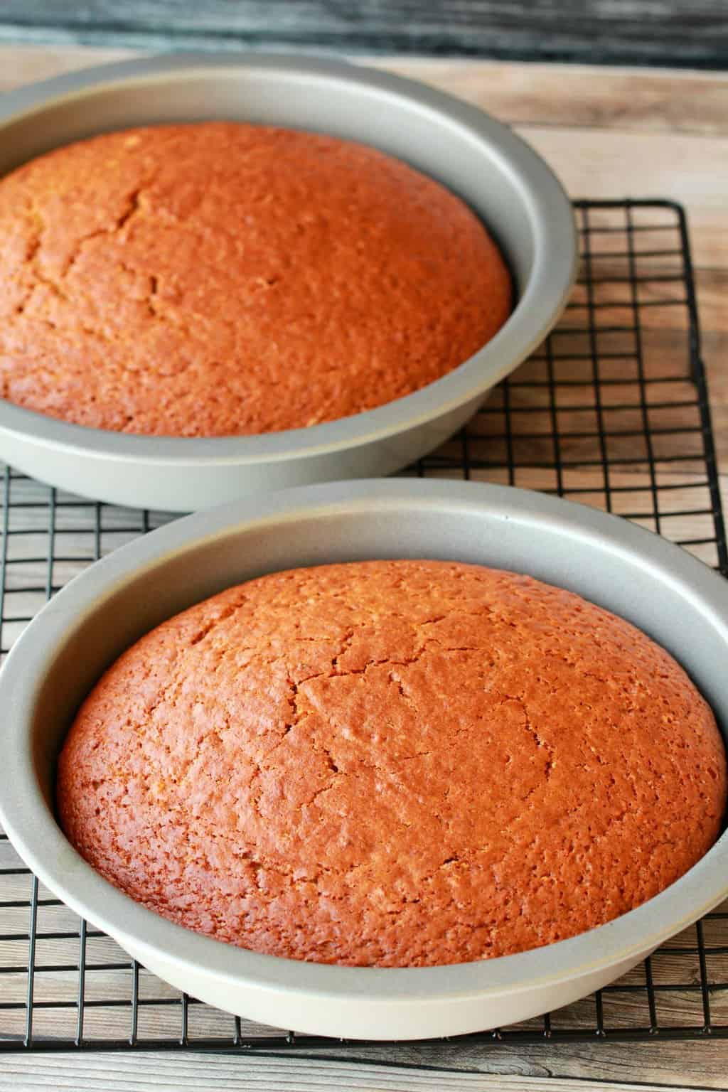 Vegan pumpkin cake in cake pans freshly baked. 