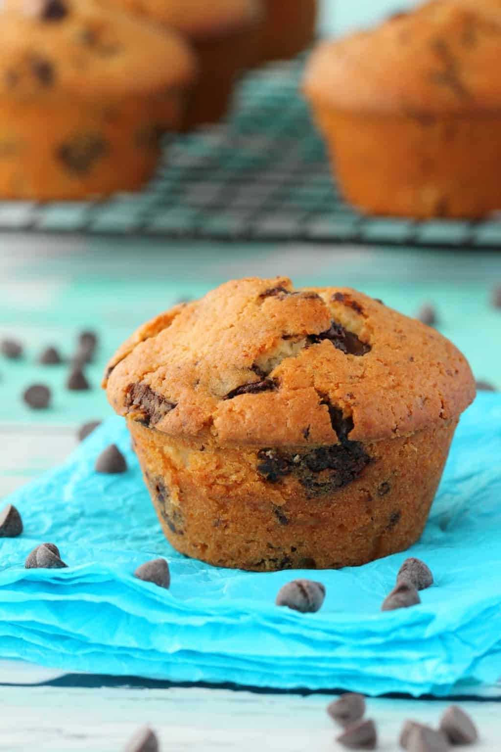 Vegan Chocolate chip muffins against a blue background, surrounded by chocolate chips. 