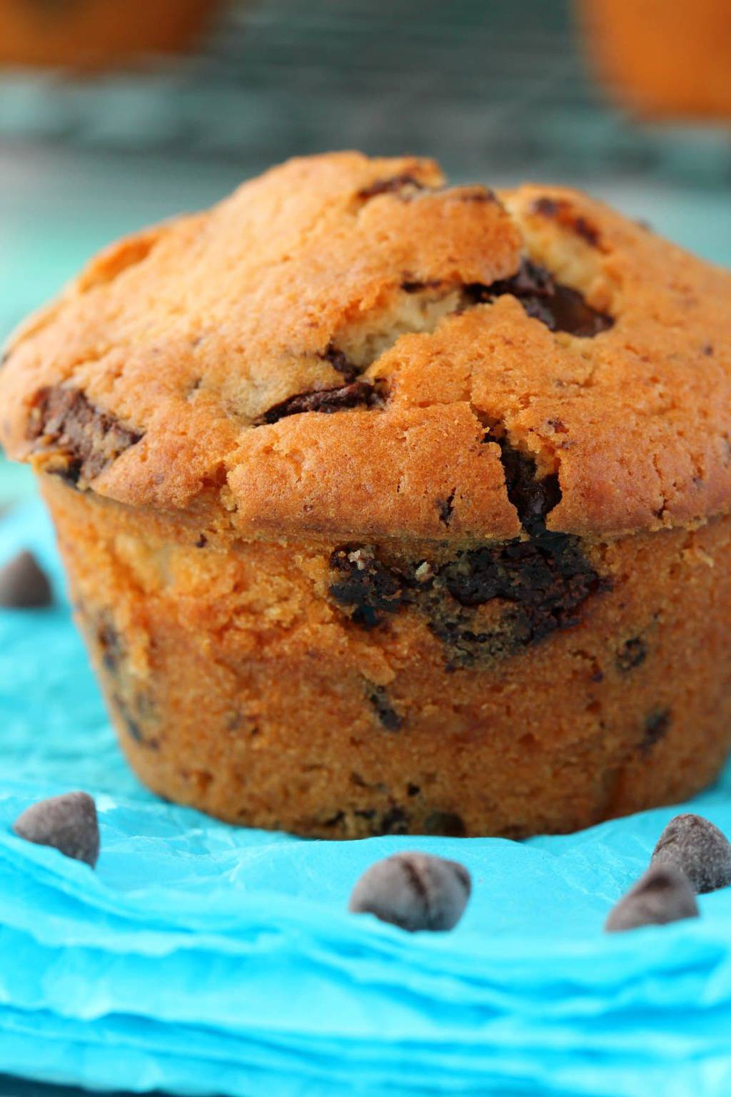 Vegan Chocolate Chip Muffin on blue paper surrounded by chocolate chips. 