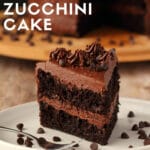 Vegan Chocolate Zucchini Cake