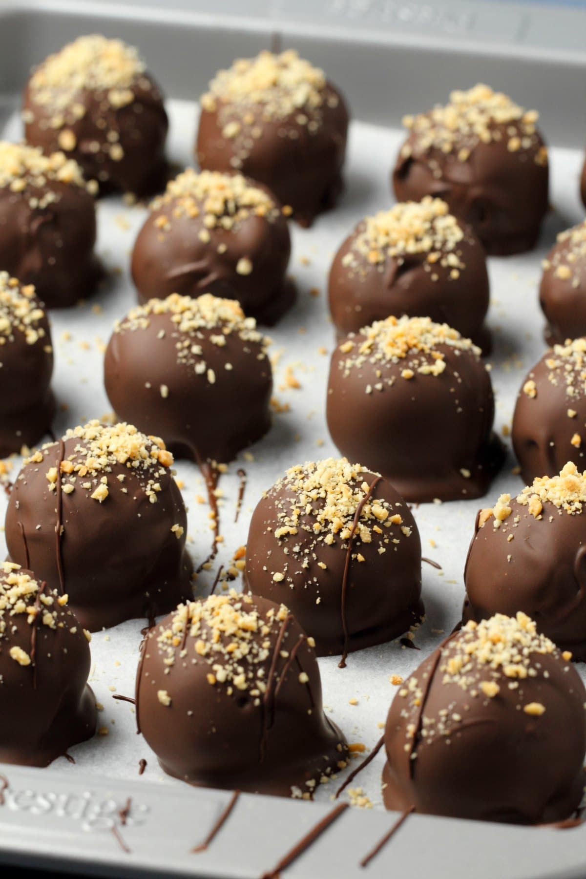 Chocolate covered peanut butter balls on a parchment lined baking tray. 