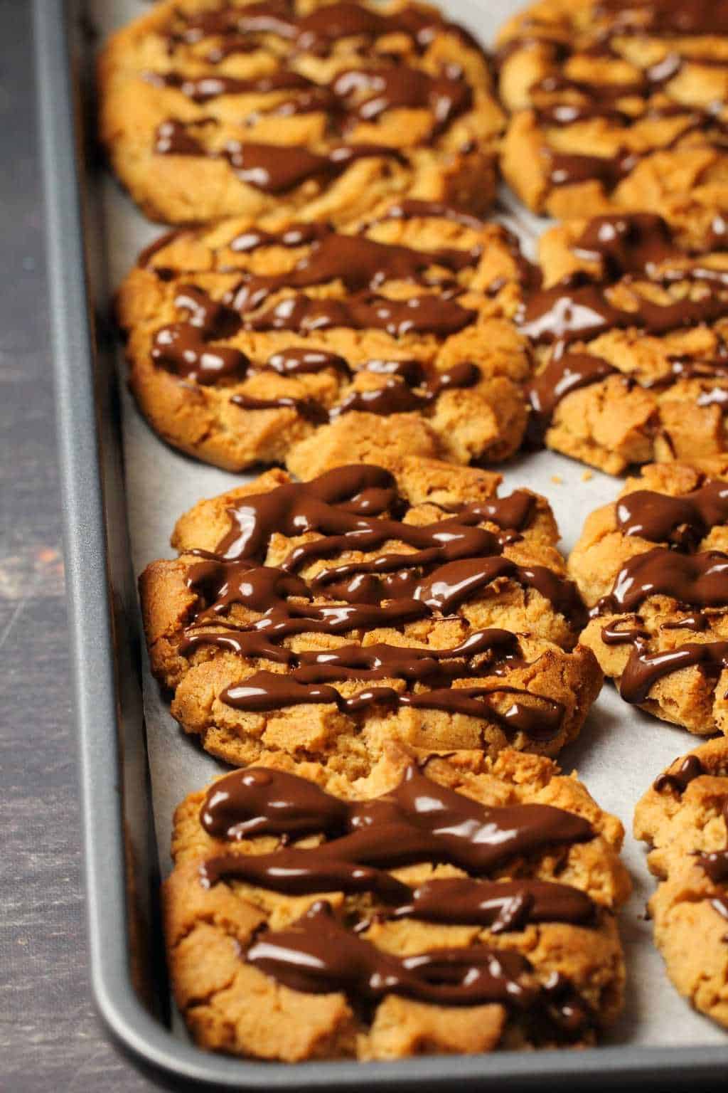 Vegan almond butter cookies freshly baked on a parchment lined baking tray, with drizzled melted chocolate.