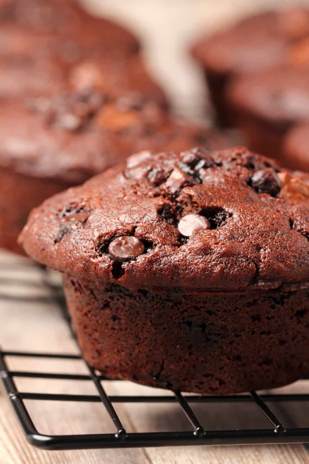 muffins de Chocolate em uma grelha de resfriamento. 