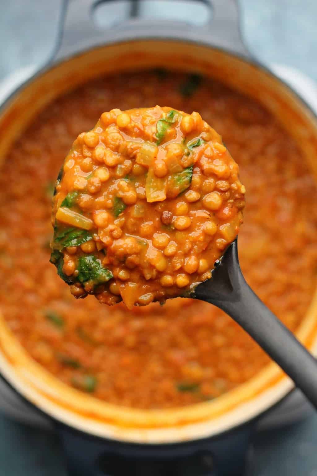Vegan lentil curry in a pot with a ladle. 