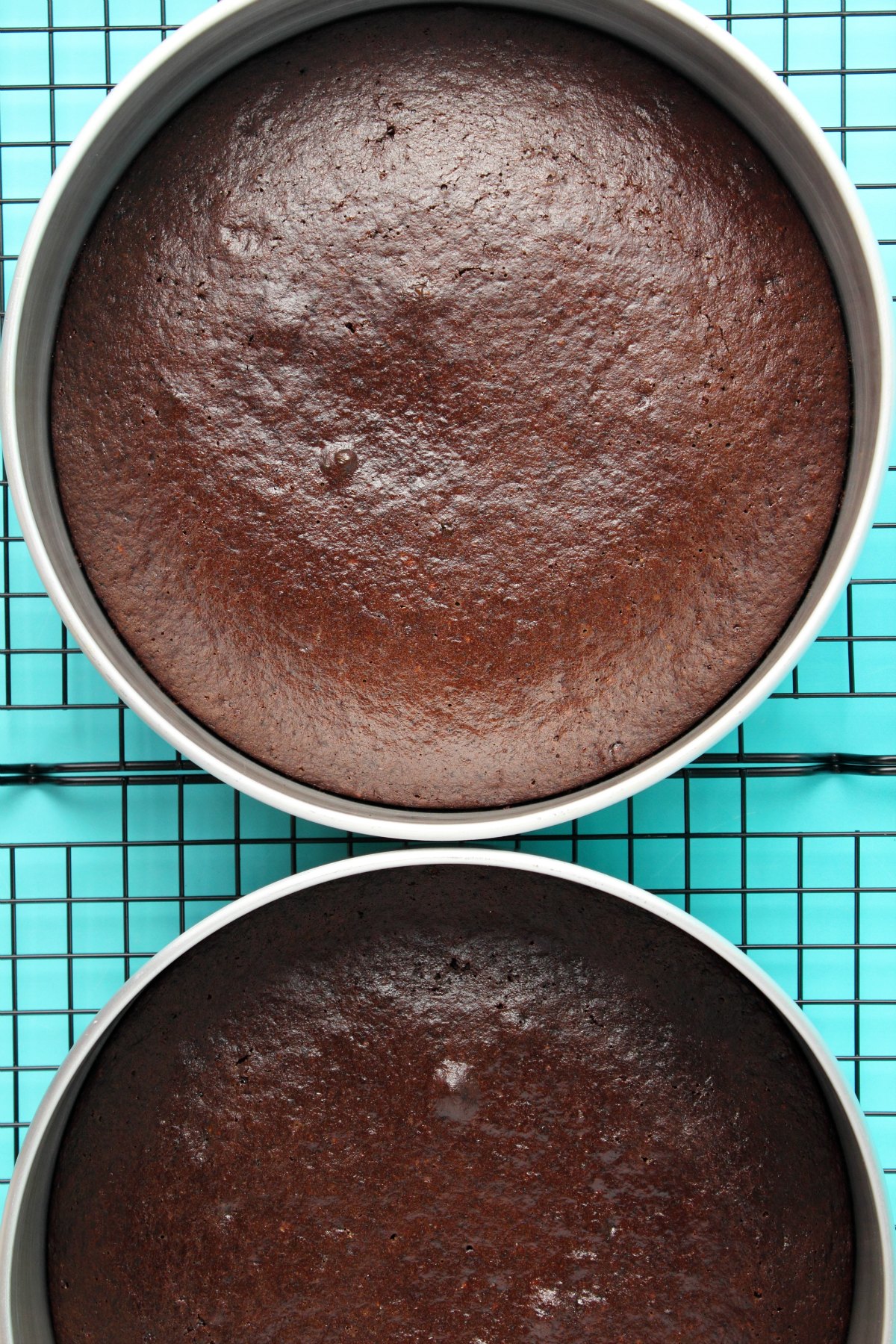 Freshly baked cakes in cake pans.