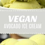 Vegan Avocado Ice Cream