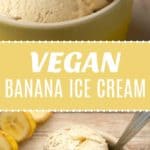 Vegan Banana Ice Cream