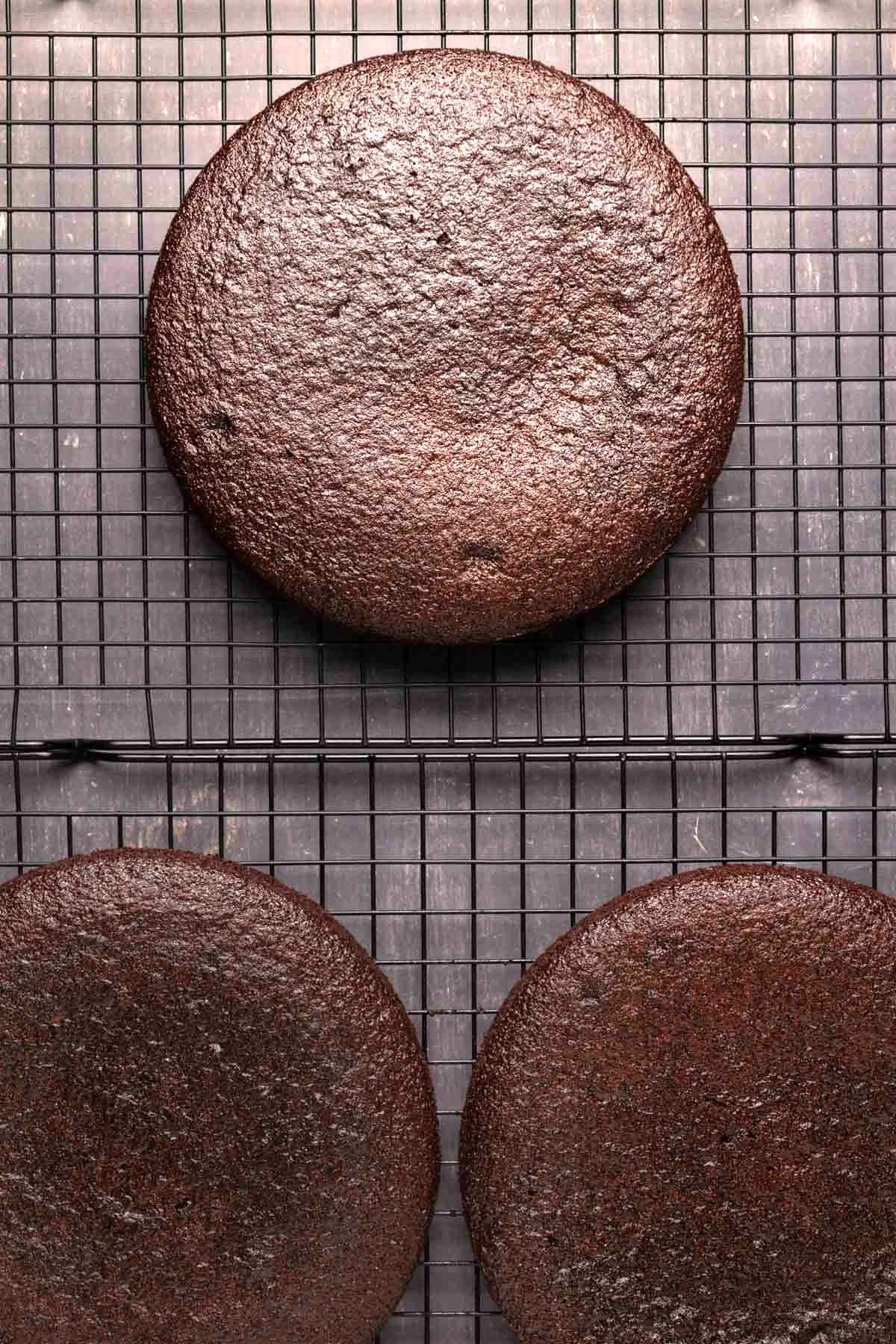 Chocolate cake layers on a wire cooling rack.