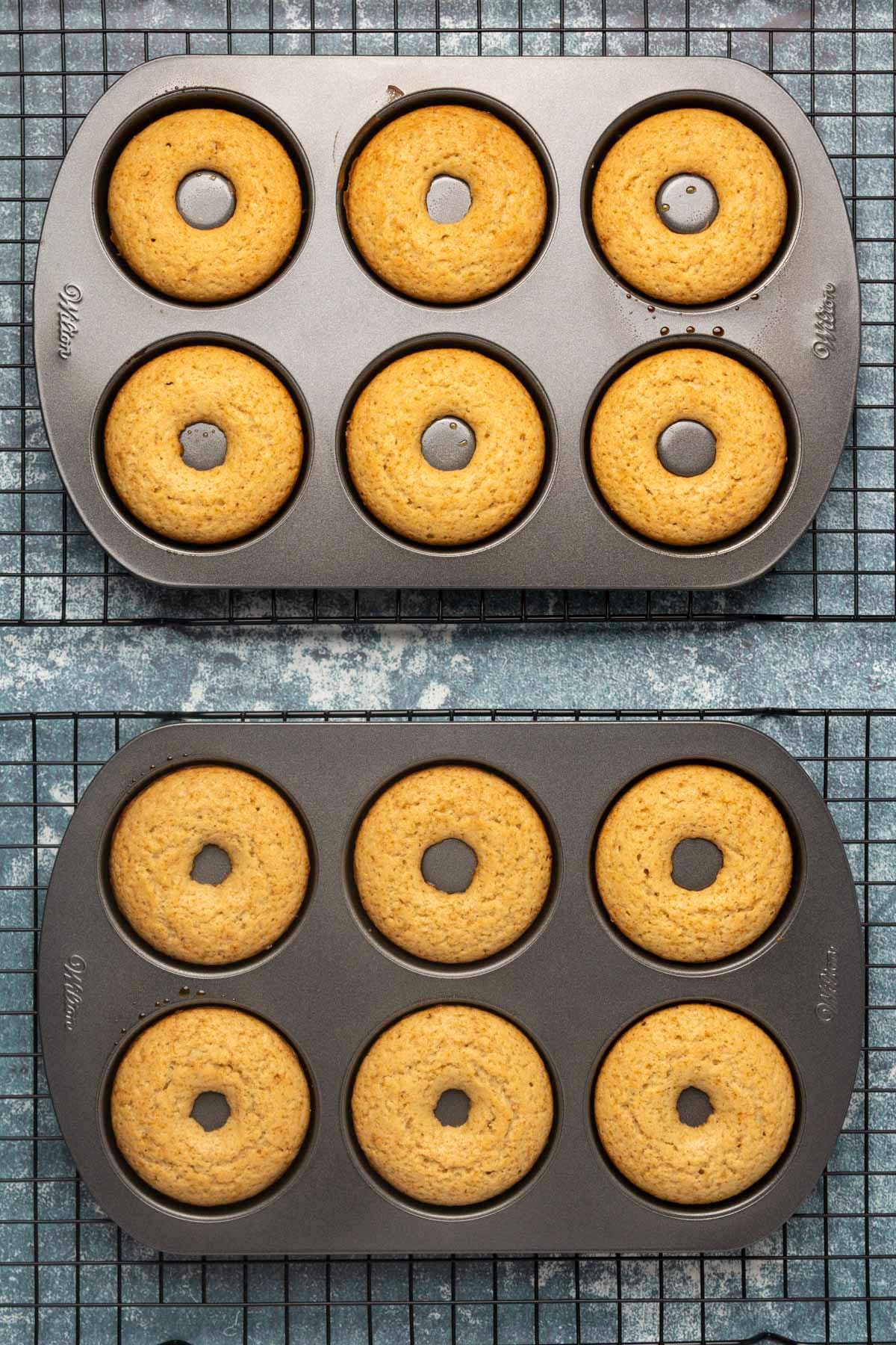 Freshly baked donuts in donut trays.