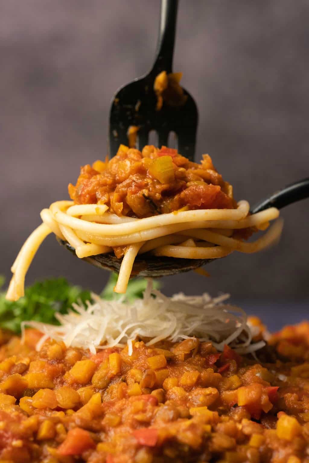 Forkful of lentil bolognese with spaghetti. 