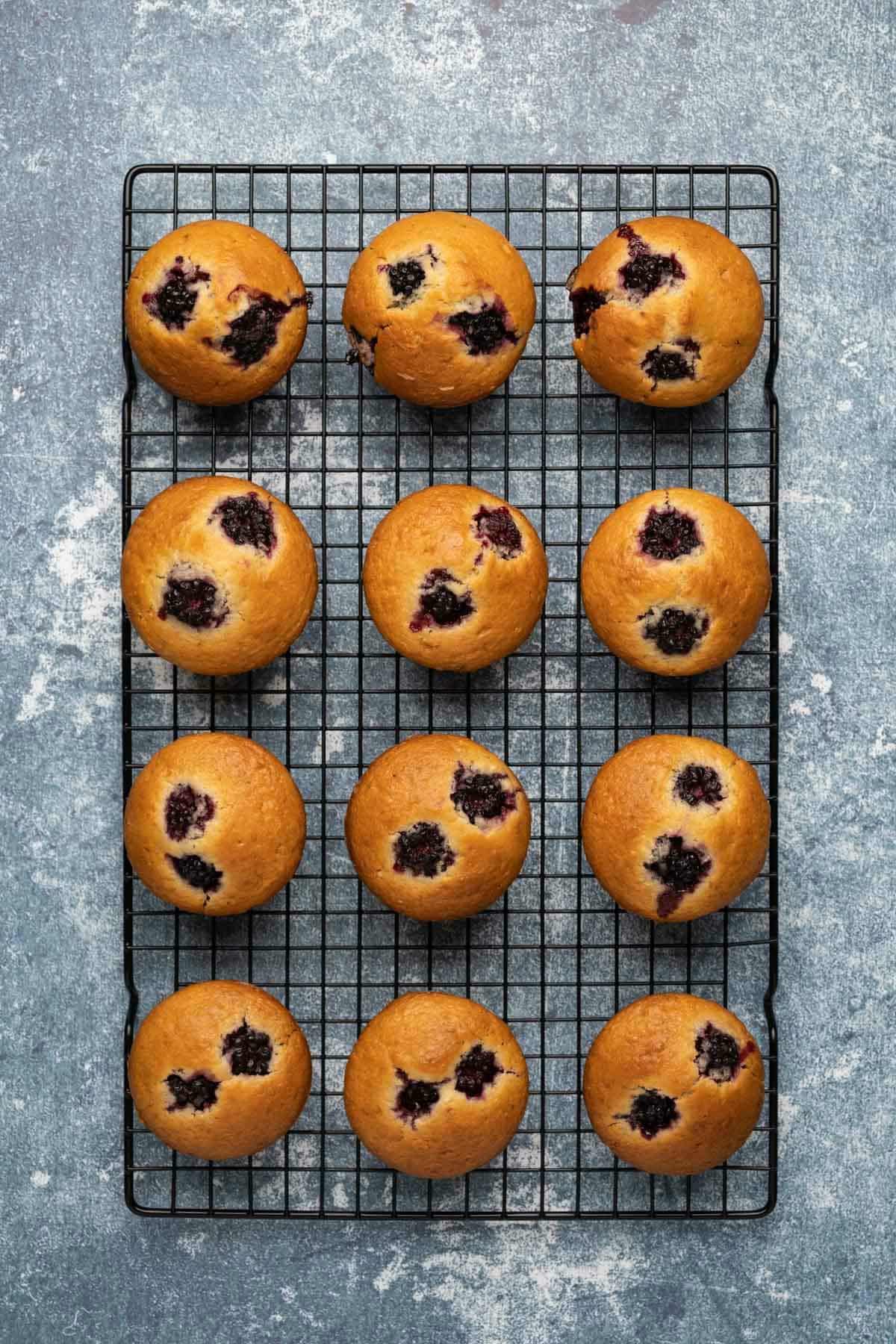 Vegan blackberry muffins on a wire cooling rack.