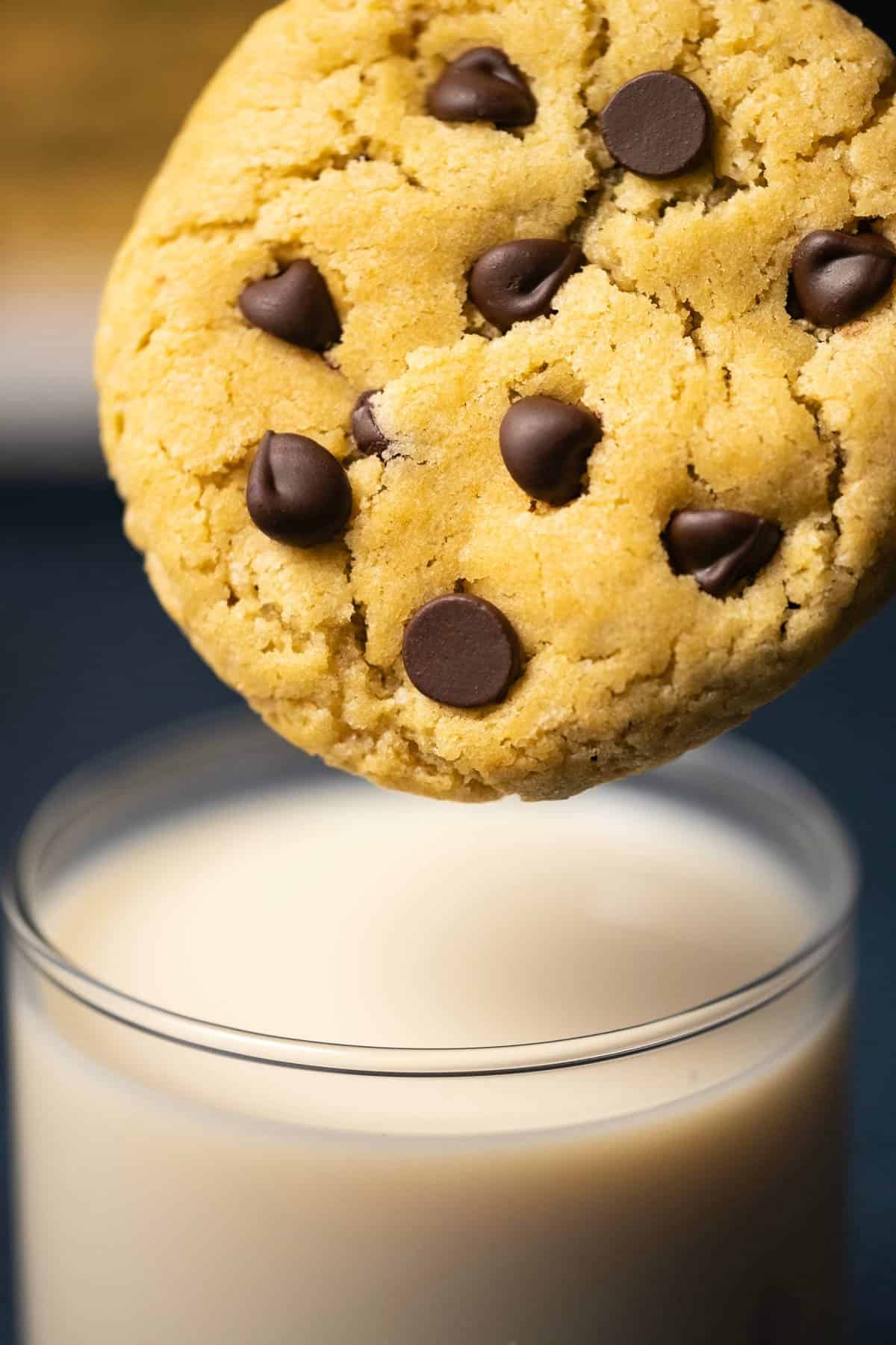 A chocolate chip cookie about to dip into a glass of soy milk. 