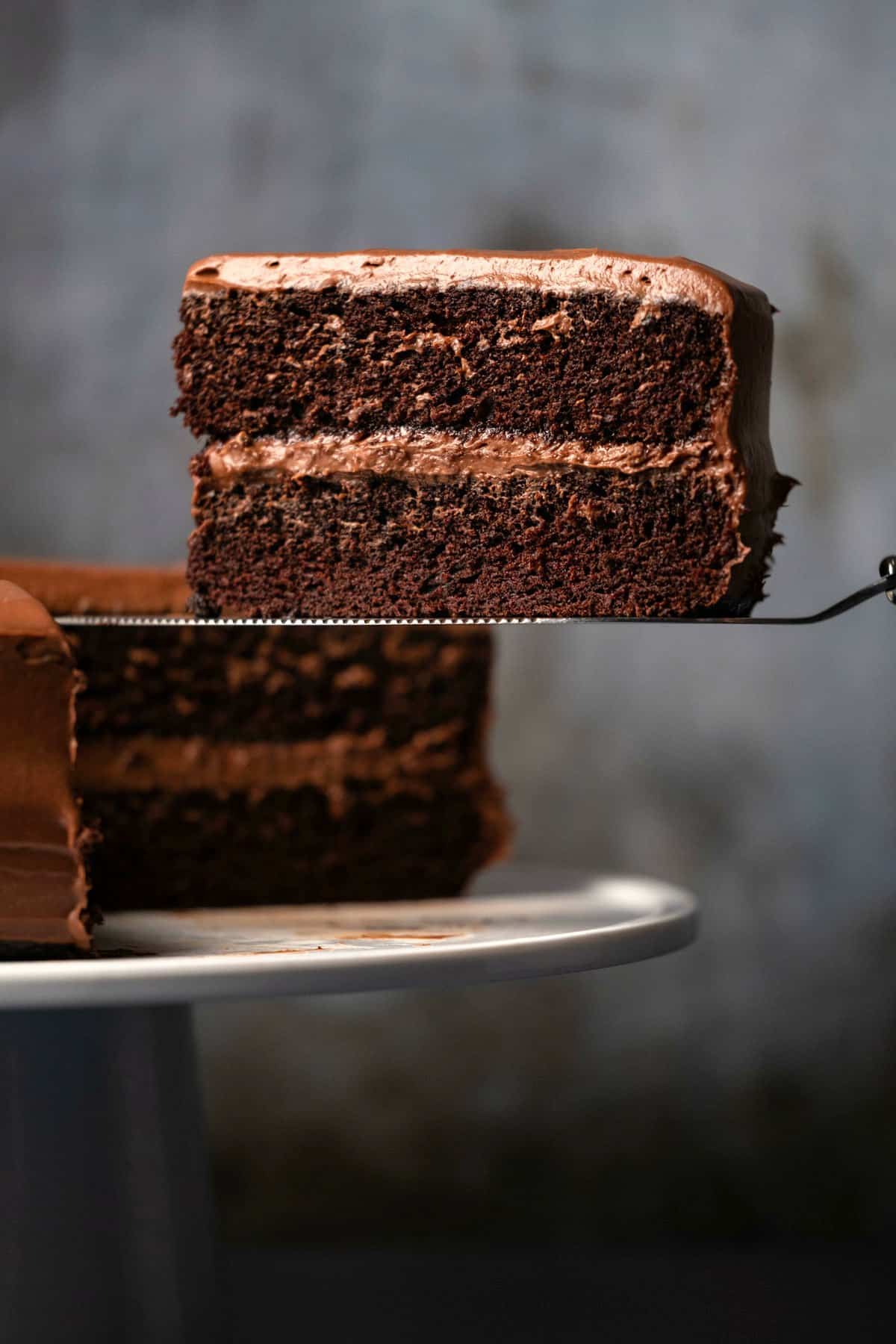 Slice of chocolate cake on a cake lifter. 