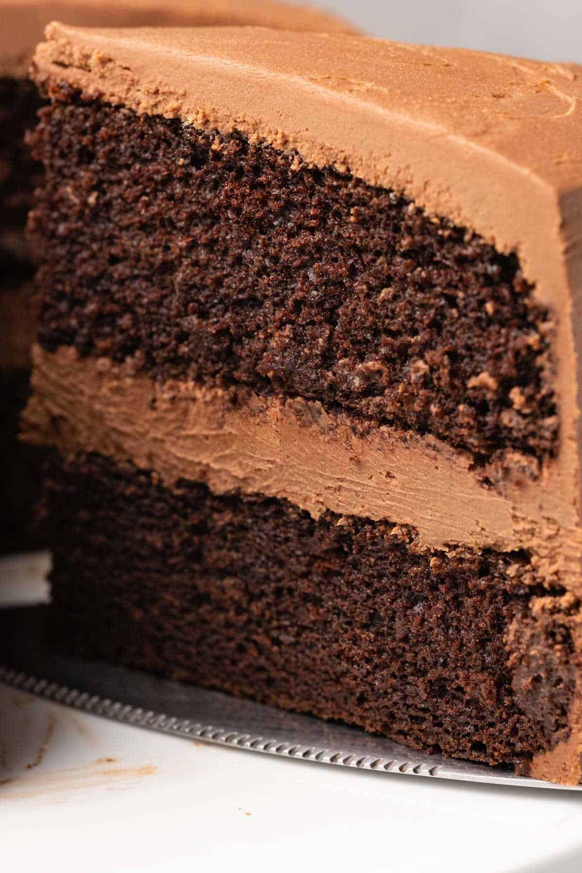 Slice of chocolate cake on a cake lifter. 