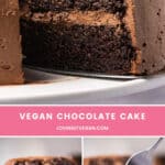 The Most Amazing Vegan Chocolate Cake