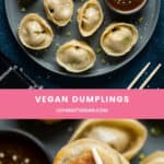 Vegan Dumplings