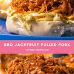Jackfruit Pulled Pork