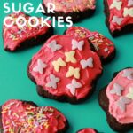 Vegan Chocolate Sugar Cookies