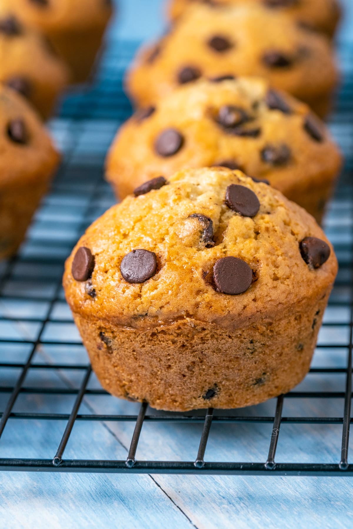 Vegan chocolate chip muffins on a wire cooling rack. 