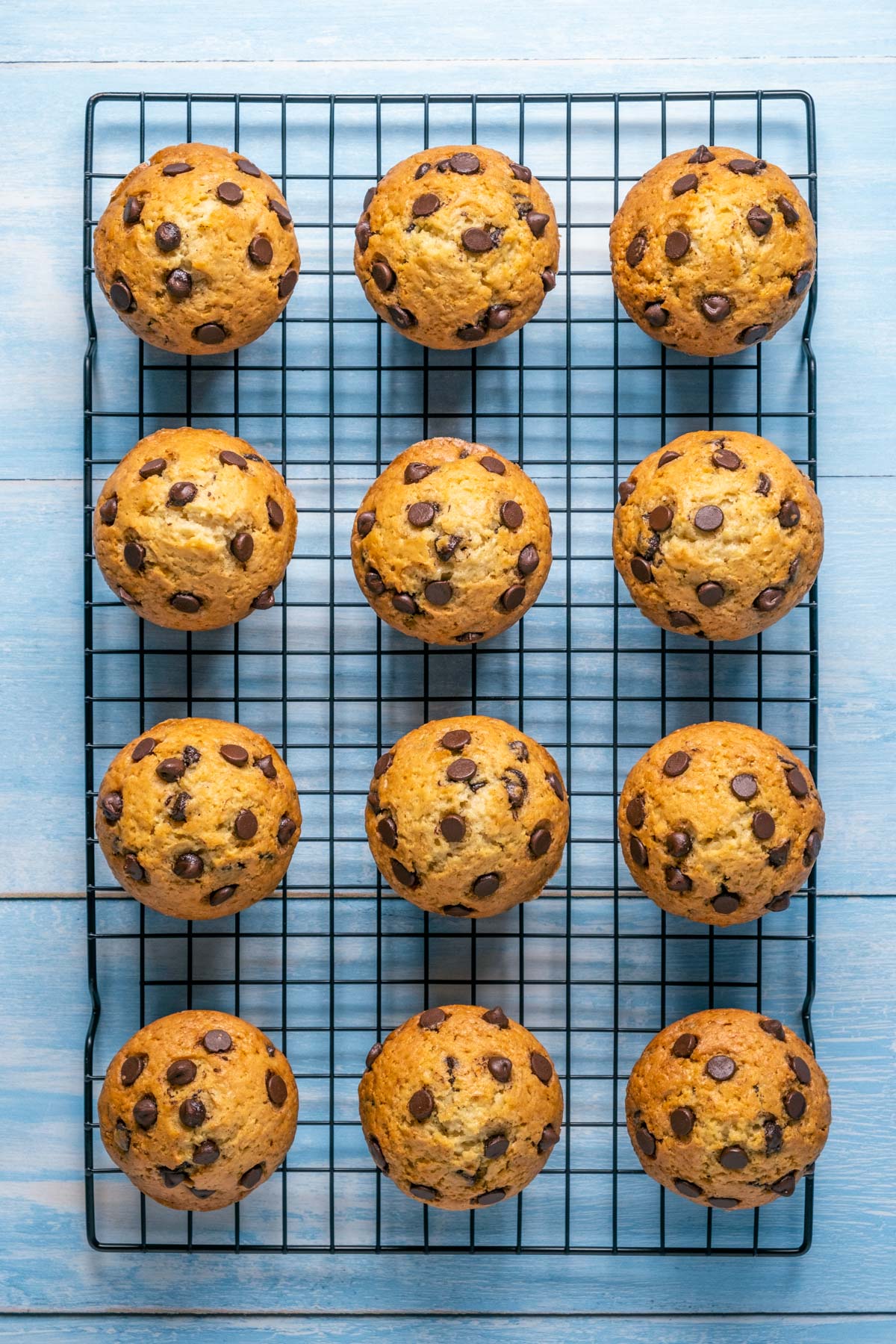 Vegan chocolate chip muffins cooling on a wire cooling rack.