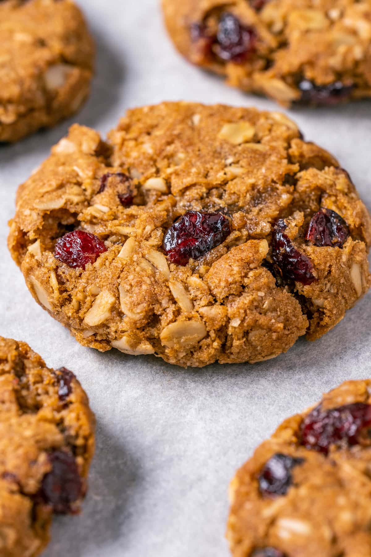 Oatmeal cranberry cookies on a parchment lined baking sheet.